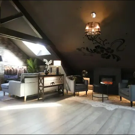 Cosy Loft Near Geneva With Wi-fi And Netflix Ornex