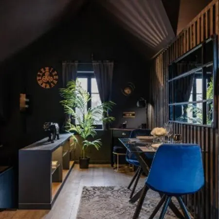 Cosy Loft Near Geneva With Wi-fi And Netflix 公寓 *