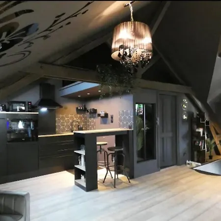 公寓 Cosy Loft Near Geneva With Wi-fi And Netflix