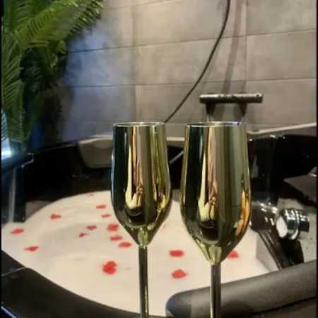 Cosy Loft Near Geneva With Wi-fi And Netflix 公寓 Ornex