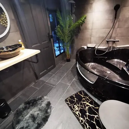 Cosy Loft Near Geneva With Wi-fi And Netflix 公寓 *