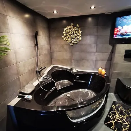 Cosy Loft Near Geneva With Wi-fi And Netflix 公寓 Ornex