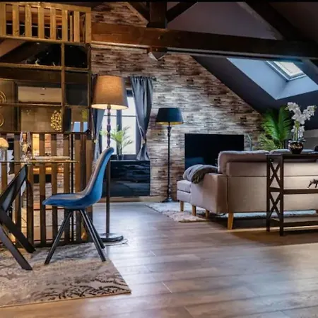 Cosy Loft Near Geneva With Wi-fi And Netflix 公寓 Ornex