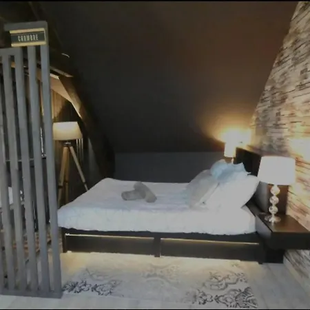 Cosy Loft Near Geneva With Wi-fi And Netflix *