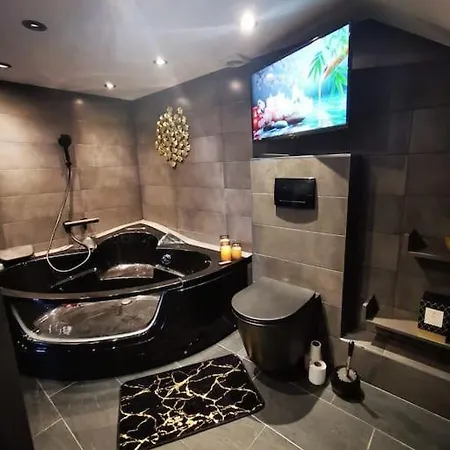 Cosy Loft Near Geneva With Wi-fi And Netflix 公寓