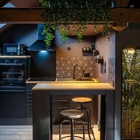Cosy Loft Near Geneva With Wi-fi And Netflix