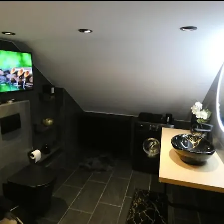 Cosy Loft Near Geneva With Wi-fi And Netflix