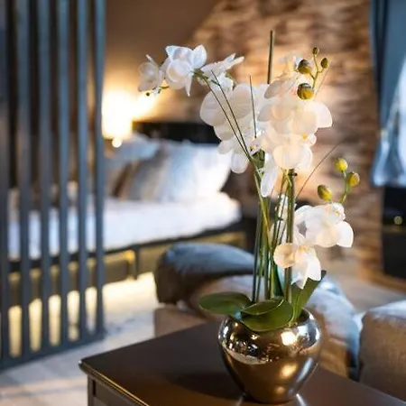 Cosy Loft Near Geneva With Wi-fi And Netflix * Ornex