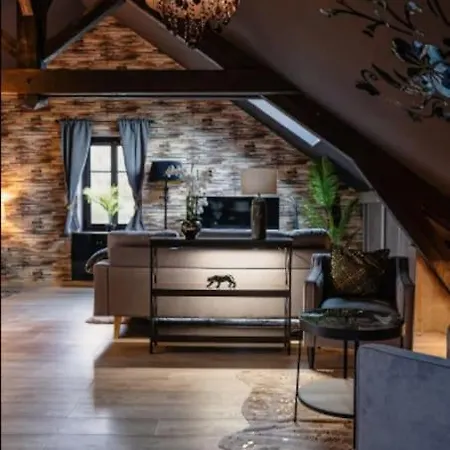 Cosy Loft Near Geneva With Wi-fi And Netflix 公寓