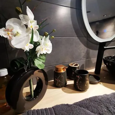 公寓 Cosy Loft Near Geneva With Wi-fi And Netflix Ornex