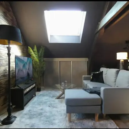 Cosy Loft Near Geneva With Wi-fi And Netflix 公寓 *